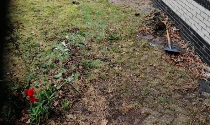 Looppad before