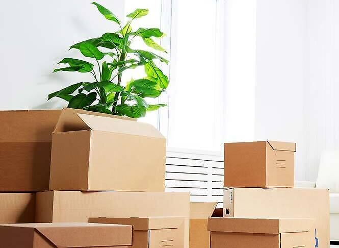 Woningontruiming Hoogeveen Door De Vries