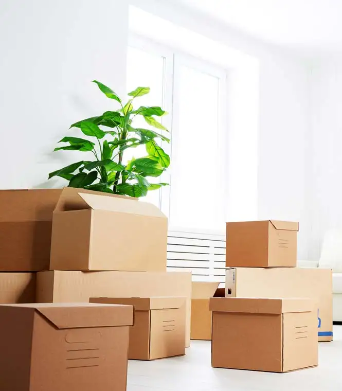 Woning Leeghalen Assen Door Specialisten